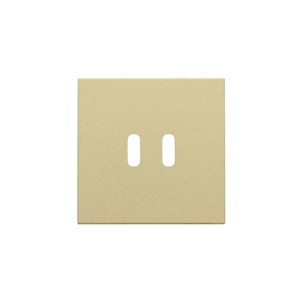 Set de finition pour double chargeur USB-C intelligent Alu Gold