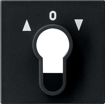 Finition interrupteur / poussoir à clé System 55 Noir mat