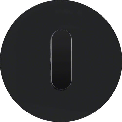 Plaque de recouvrement avec manette pour interrupteur rotatif / poussoir Serie R.classic Noir, brill