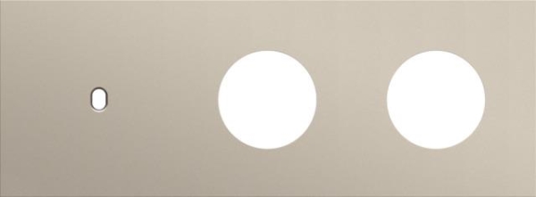 Triple cover plate, horizontal 71mm centre distance, for a single switching function and two socket