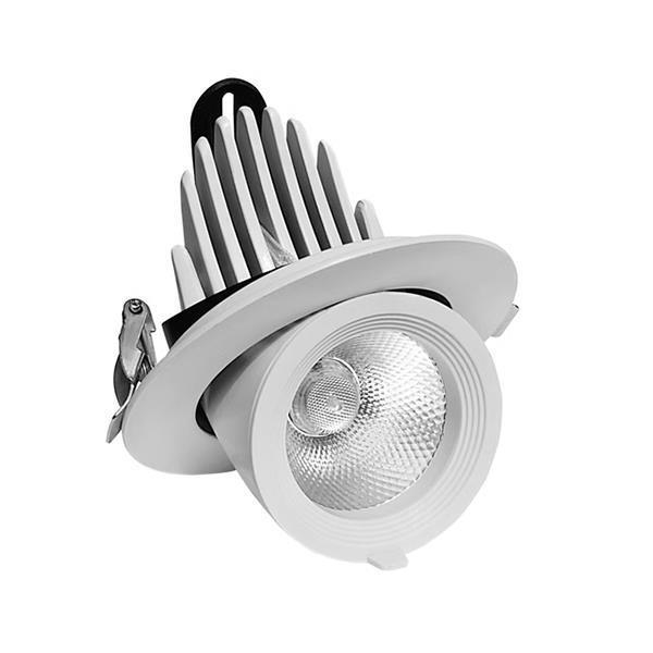 Spot Led encastré orientable 20W diamètre 110 220V 3CCT Blanc 5 ans de garantie