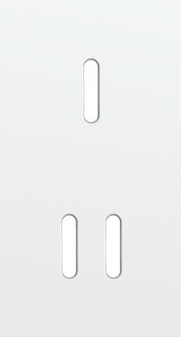 Double cover plate, vertical 71mm centre distance, for single and double switching function, Niko R