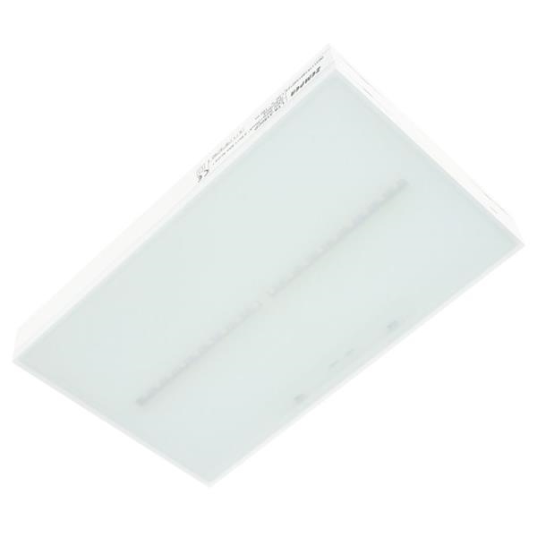 Emergency lighting Led 250lm IP42 permanent / non - permanent self - test 220 x 136 x 31mm  4000K