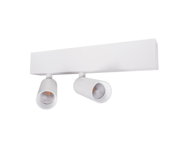 Luminaire apparent pour plafond ou mur 2L - Blanc - avec driver dimmable
