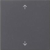 Module commande S3000 symboles flèche System 55 Anthracite