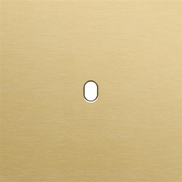Single cover plate, for single switch functions, Niko toggle Aluminum brushed Gold