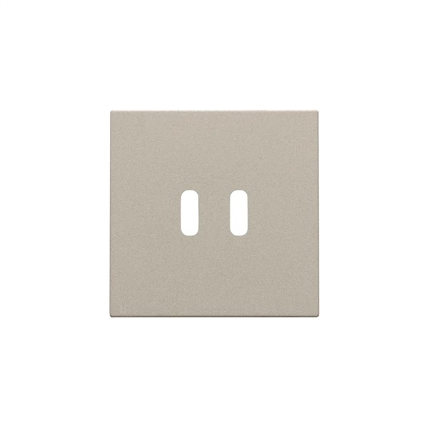 Afwerkingsset voor dubbele smart USB-C-lader Champagne