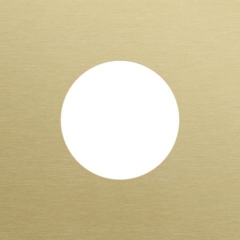 Plaque de recouvrement simple, pour 1 prise de courant, Niko Rocker et Niko Toggle, Alu Gold brushed