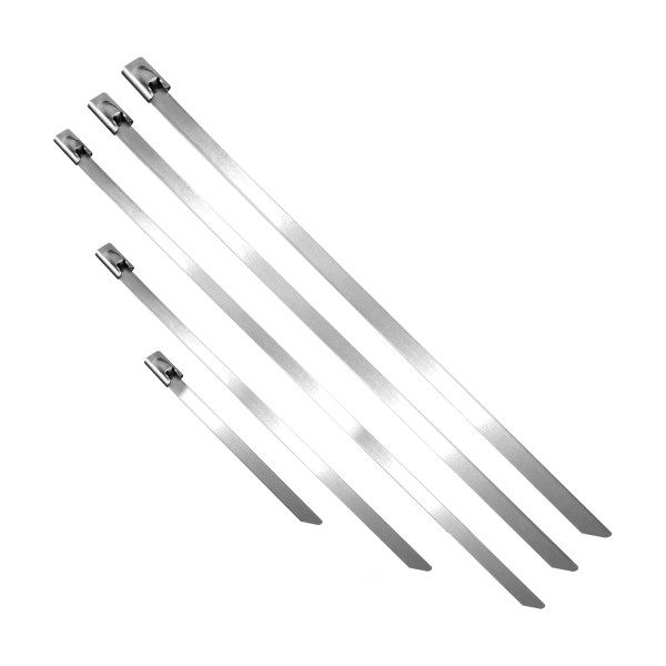 Colliers de serrage en acier inoxydable, 100 pièces