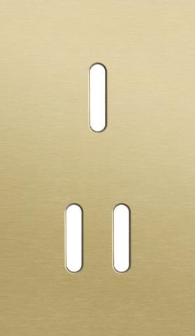 Plaque de recouvrement double, verticale 60mm d'entraxe, pour une fonction de commutation simple et