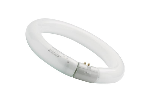 Circline TL T9 32W 840 4000K G10q