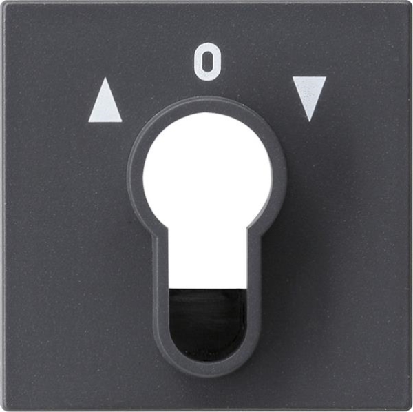 Finition interrupteur / poussoir à clé System 55 Anthracite