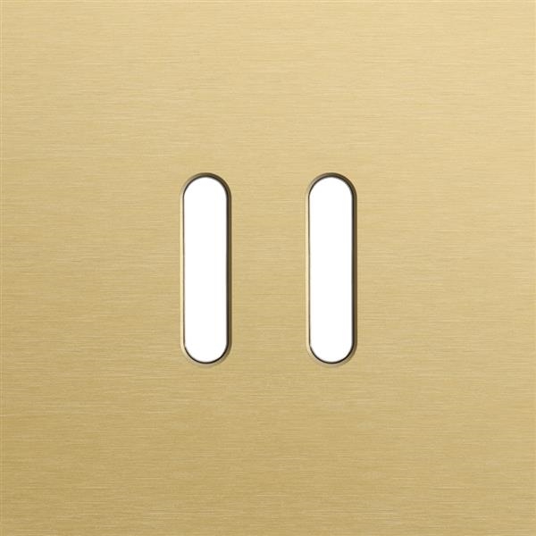 Plaque de recouvrement simple, pour des fonctions d'interrupteur double, Niko rocker Aluminium Or br
