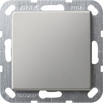 Plaque aveugle avec anneau support System 55 Acier inoxydable