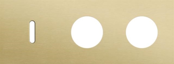 Triple cover plate, horizontal 71mm centre distance, for a single switching function and two socket