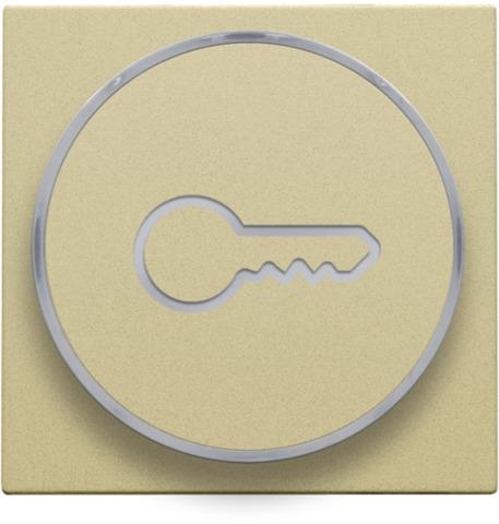 Afwerkingsset met doorschijnende ring met sleutelsymbool voor drukknop 6A met amberkleurige Led