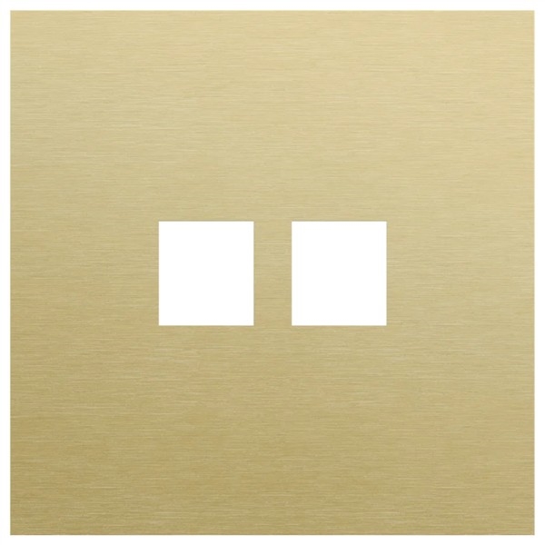 Plaque de recouvrement simple pour double connexion RJ Niko Rocker et Niko Toggle Alu Gold brushed