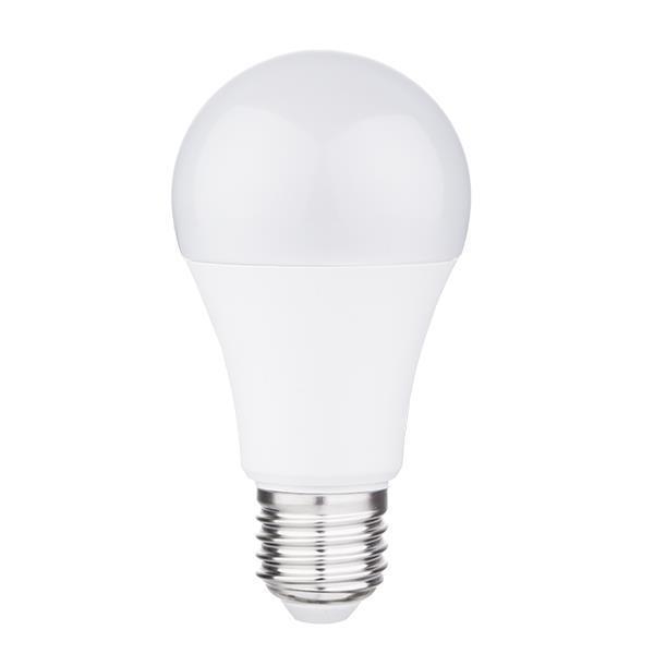 Ampoule Led A60 2,9W E27 6500K 175 - 265V Pro