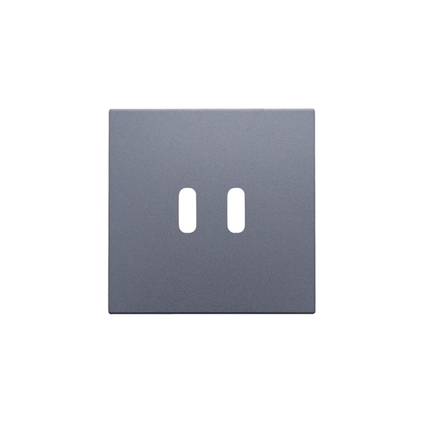 Set de finition pour double chargeur USB-C intelligent Alu Steel