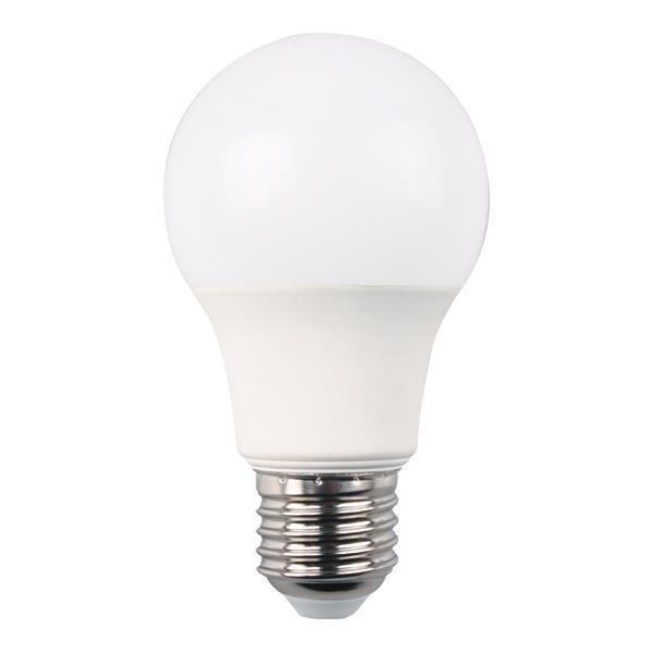 Ampoule Led A60 5W E27 6500K 175 - 265V Pro