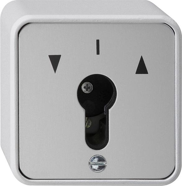Interrupteur à clé inverseur unipolaire apparent protection eau Gris