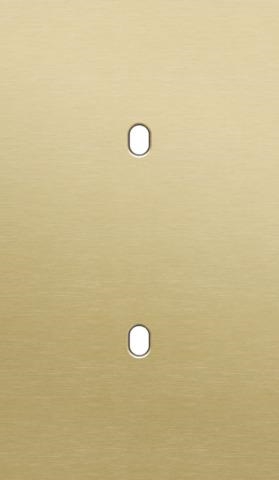 Plaque de recouvrement double, verticale 60mm d'entraxe, pour deux fonctions de commutation simples,