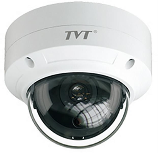 Dome D / N EyeballIP66