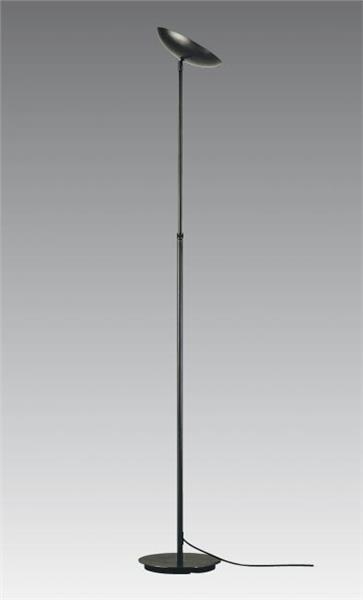 Lampadaire en Bronze griffé