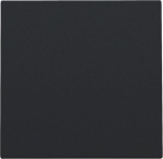Centrale plaat blindplaat Black Coated