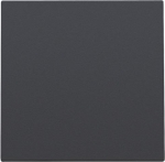 Centrale plaat blindplaat Anthracite