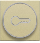 Afwerkingsset met doorschijnende ring met sleutelsymbool voor drukknop 6A met amberkleurige Led