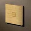 Squares 1T 24V - 250V push button brushed Brass