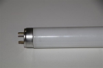 Osram TL lamp T8 L 30W / 840 lumilux Cool White G13