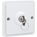 Spuitwaterdichte sleutelschakelaar 10A met schroefklemmen, exclusief opbouwdoos Wit