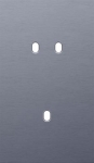 Double cover plate, vertical 60mm center distance, for a double and a single switching function, Ni
