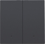 Afwerkingsset met lens voor dubbele elektronische schakelaar of drukknop Anthracite
