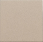 Centrale plaat blindplaat Champagne