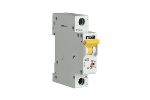 Disjoncteur 1 pôle 1A 10kA courbe D
