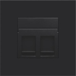 Centrale plaat data 2 x RJ Black Coated