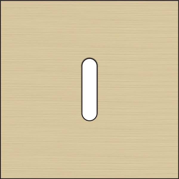 Single cover plate, for single switch functions, Niko rocker Aluminum brushed Gold