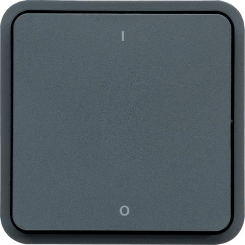 Tweepolige schakelaar, Cubyko, Grijs, 10AX - 250V, quickconnect