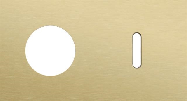 Plaque de recouvrement double, horizontale 71mm d'entraxe, pour une fonction de prise de courant et
