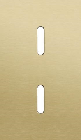 Plaque de recouvrement double, verticale 60mm d'entraxe, pour deux fonctions de commutation simple,