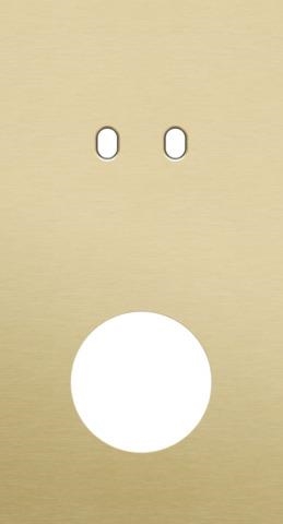 Double cover plate, vertical 71mm center distance, for a double switching function and a socket fun