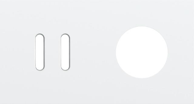 Double cover plate, horizontal 71mm centre distance, for a double switching function and a socket f