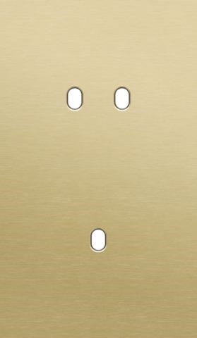 Double cover plate, vertical 60mm center distance, for a double and a single switching function, Ni