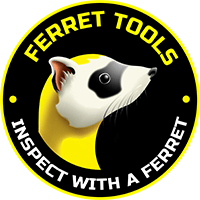 Ferret